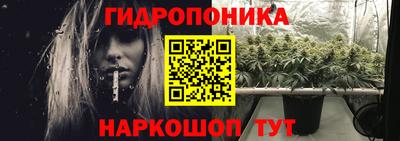 твердый Пугачёв