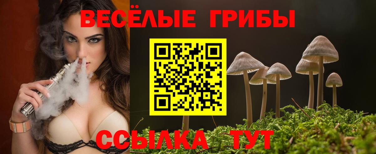 Псилоцибиновые грибы прущие грибы Тобольск